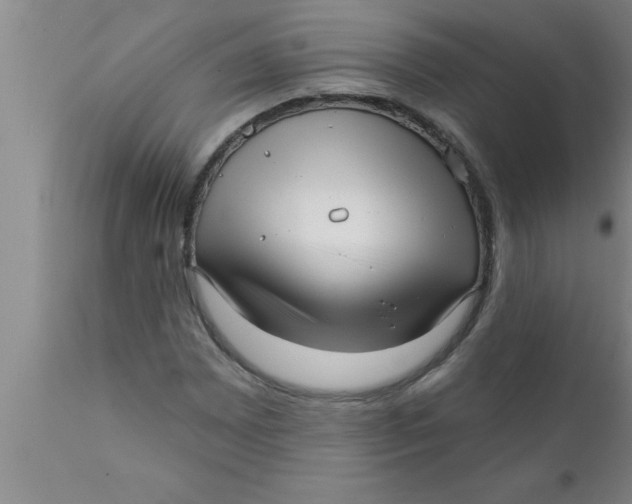 X0000111161065200907211221