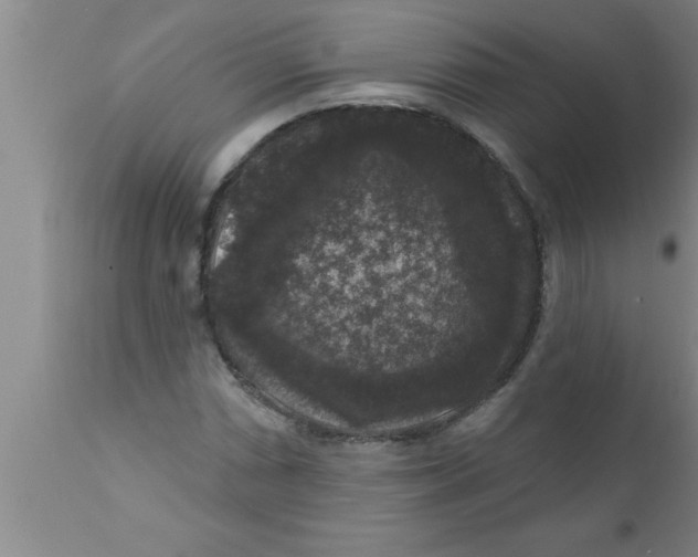 X0000111161066200907211221