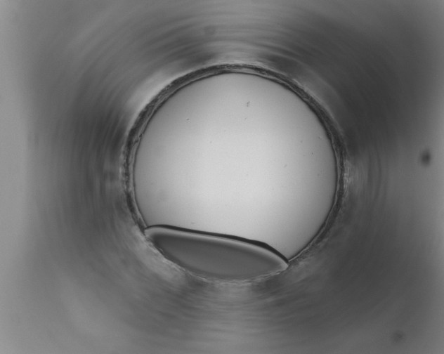 X0000111161068200907211221