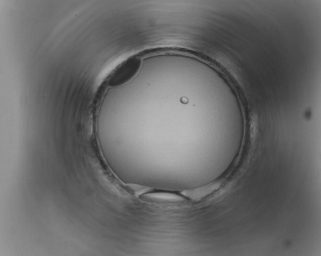 X0000111161069200907211221