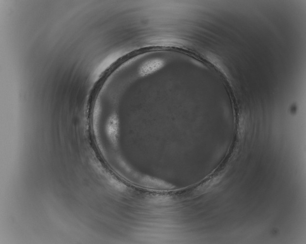 X0000111161071200907211221