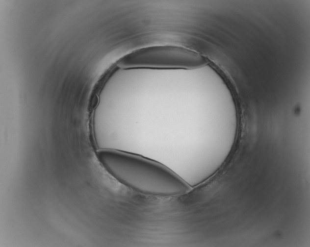 X0000111161072200907211221