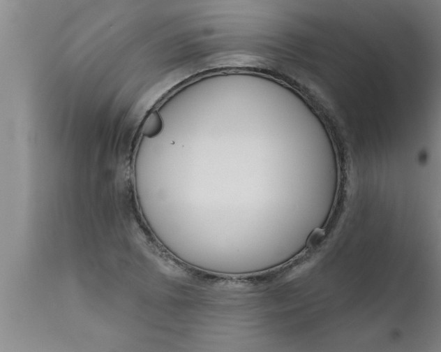 X0000111161073200907211221