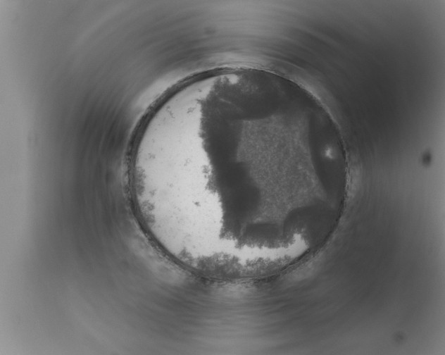 X0000111161074200907211221