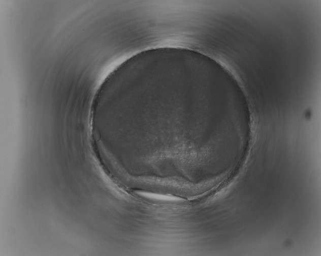 X0000111161077200907211221