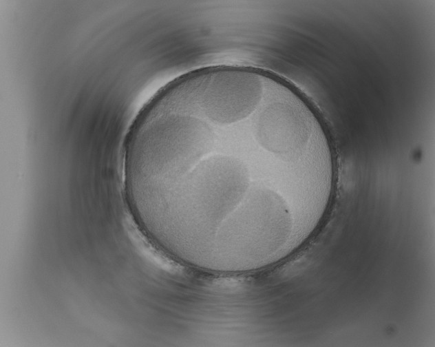 X0000111161078200907211221