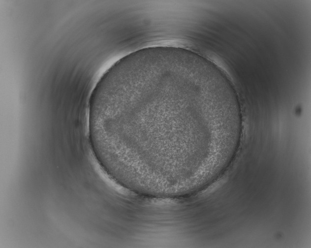 X0000111161079200907211221