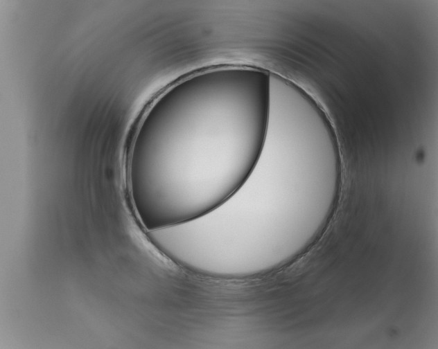 X0000111161080200907211221