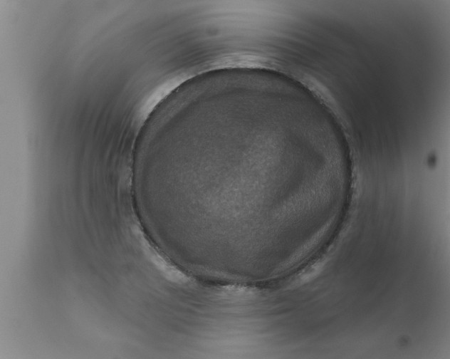 X0000111161081200907211221