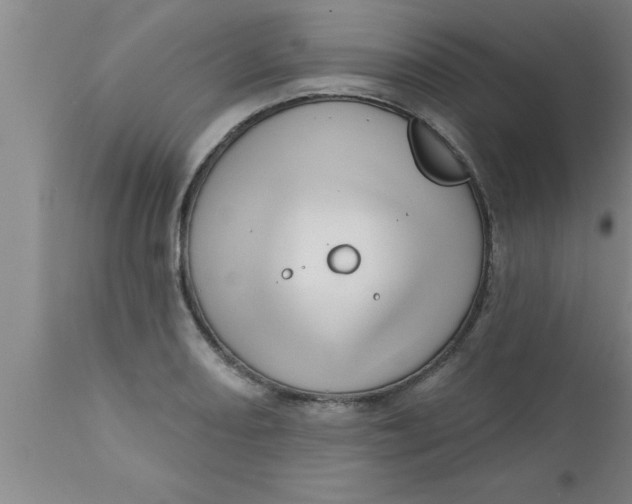 X0000111161082200907211221