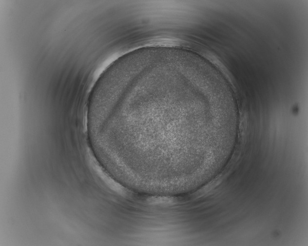 X0000111161083200907211221