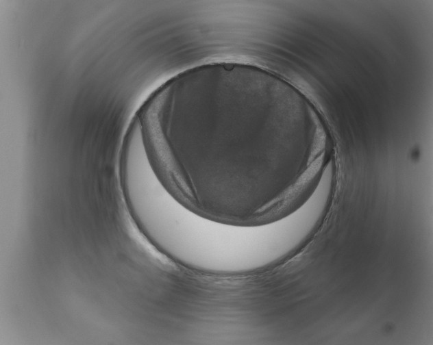 X0000111161084200907211221