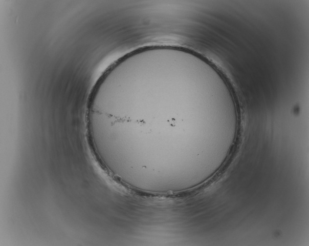 X0000111161085200907211221