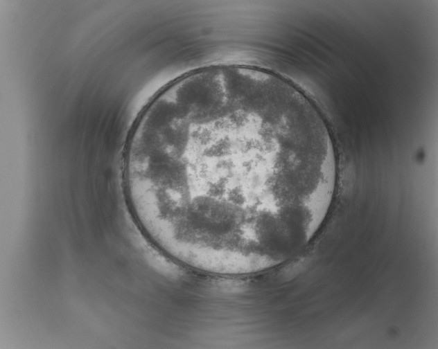 X0000111161086200907211221