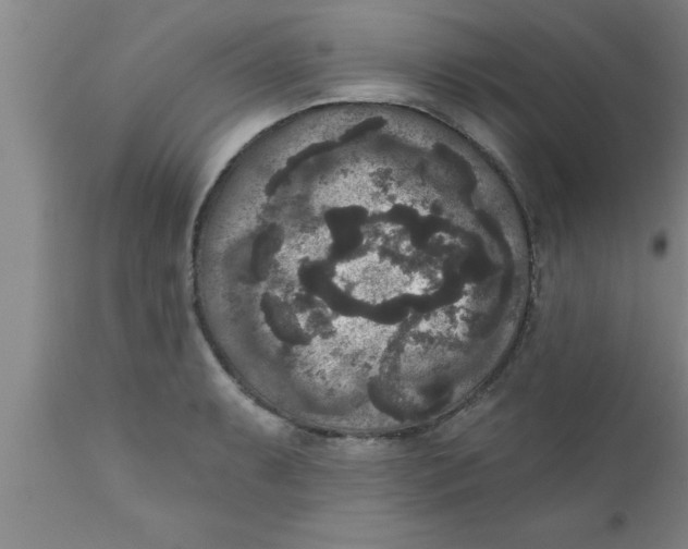 X0000111161087200907211221