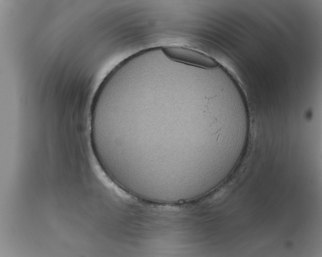 X0000111161088200907211221