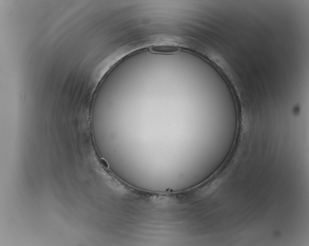 X0000111161089200907211221