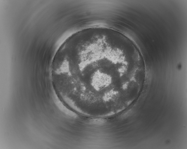 X0000111161090200907211221