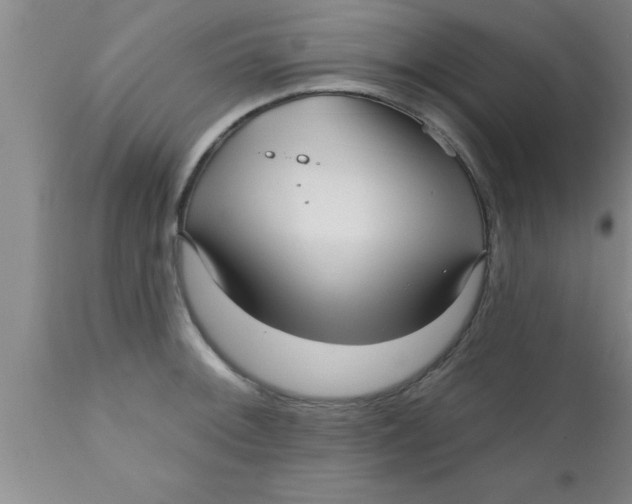 X0000111161092200907211221