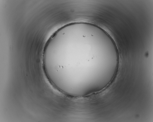 X0000111161093200907211221