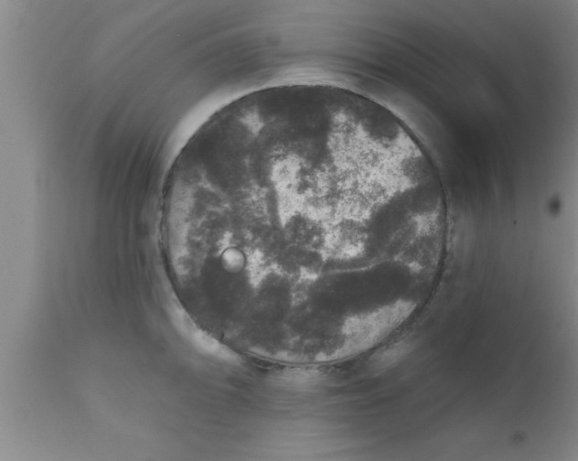 X0000111161094200907211221