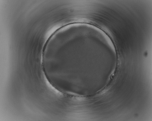 X0000111161095200907211221