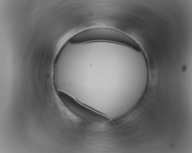 X0000111161096200907211221