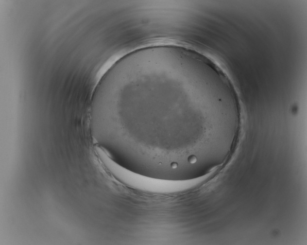 X0000111161097200907211221