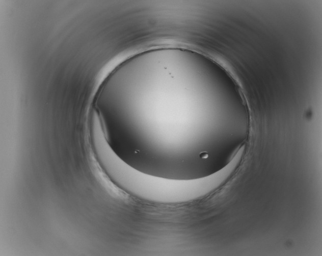 X0000111161098200907211221