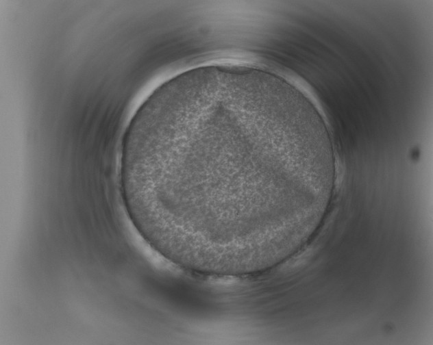 X0000111161099200907211221