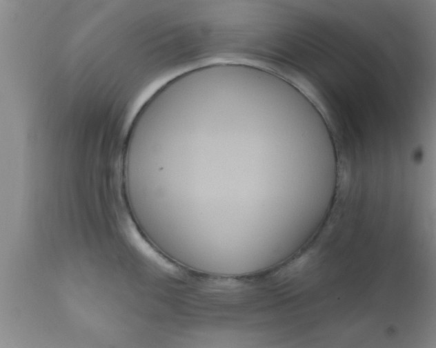 X0000111161100200907211221