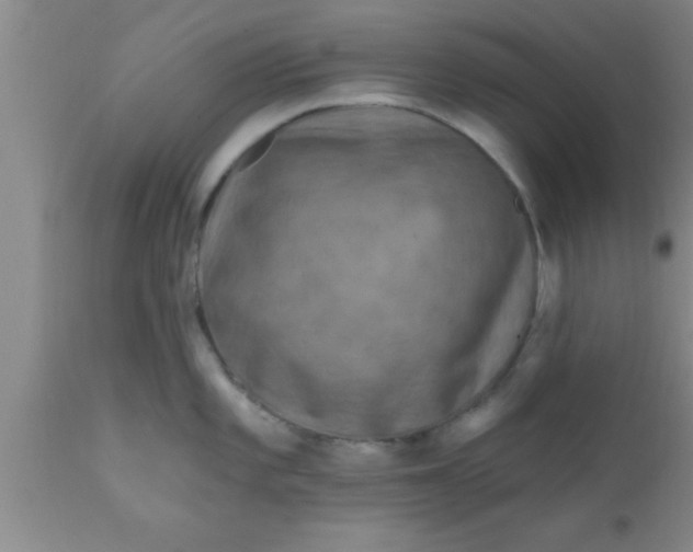 X0000111161101200907211221