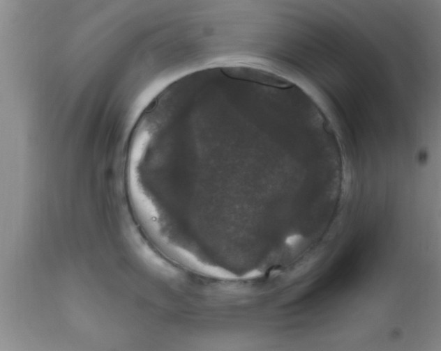 X0000111161102200907211221