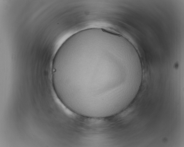 X0000111161103200907211221