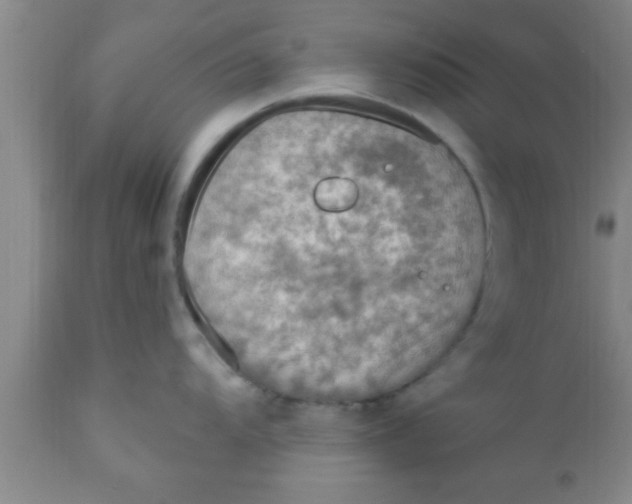 X0000111161104200907211221