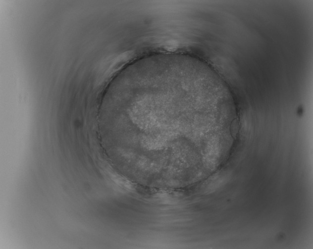 X0000111161105200907211220