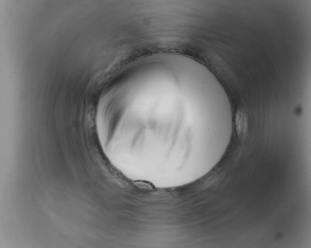 X0000111161107200907211220