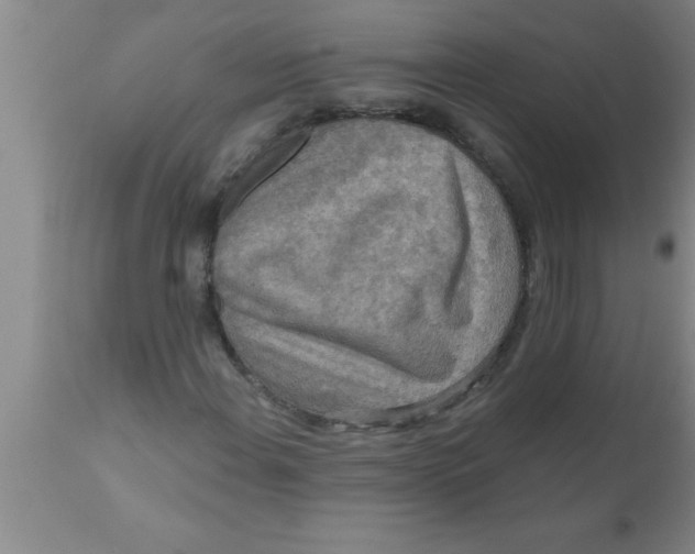 X0000111161108200907211220