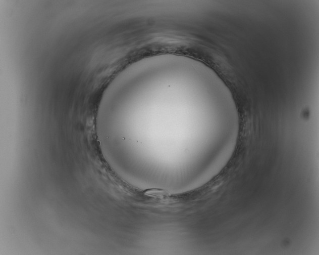 X0000111161109200907211220