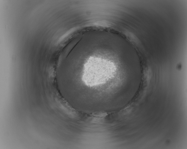 X0000111161110200907211220