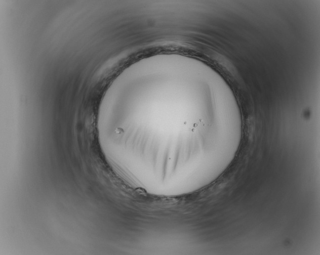 X0000111161111200907211220