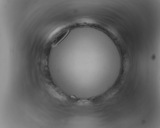 X0000111161112200907211220