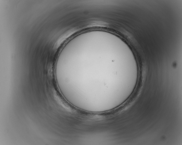 X0000111161113200907211220