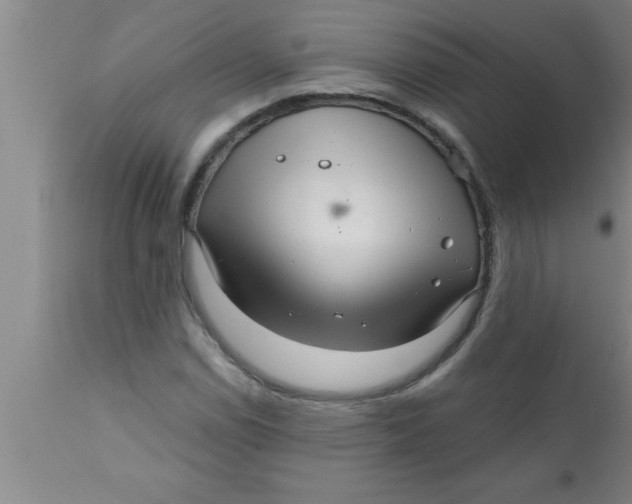 X0000111161114200907211220