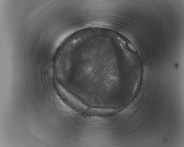 X0000111161115200907211220