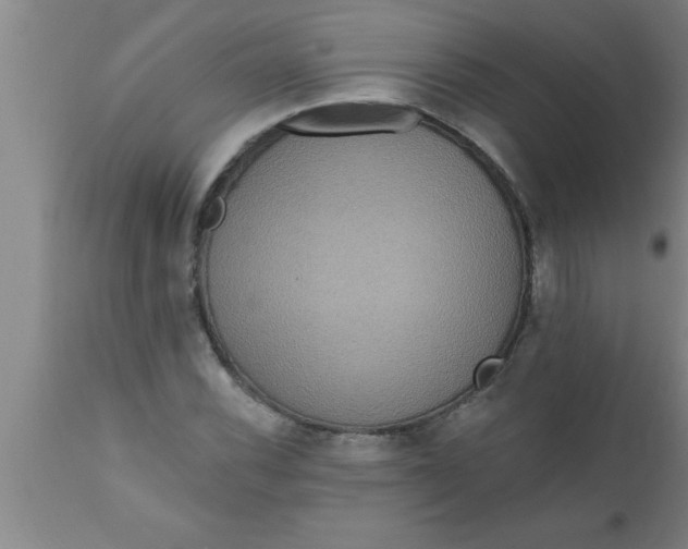 X0000111161116200907211220