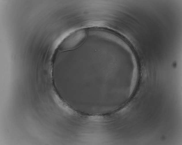 X0000111161118200907211220