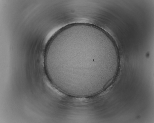 X0000111161120200907211220