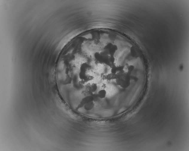 X0000111161121200907211220