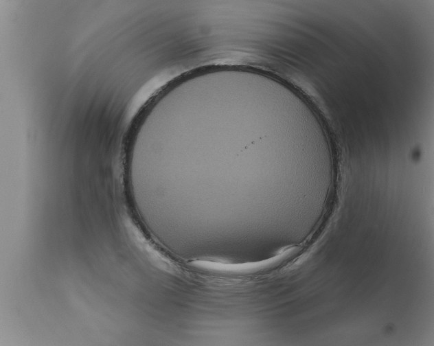 X0000111161122200907211220